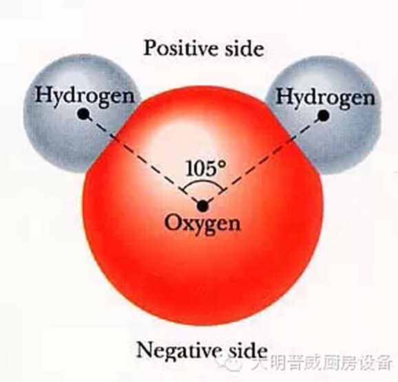 水分子組成結構