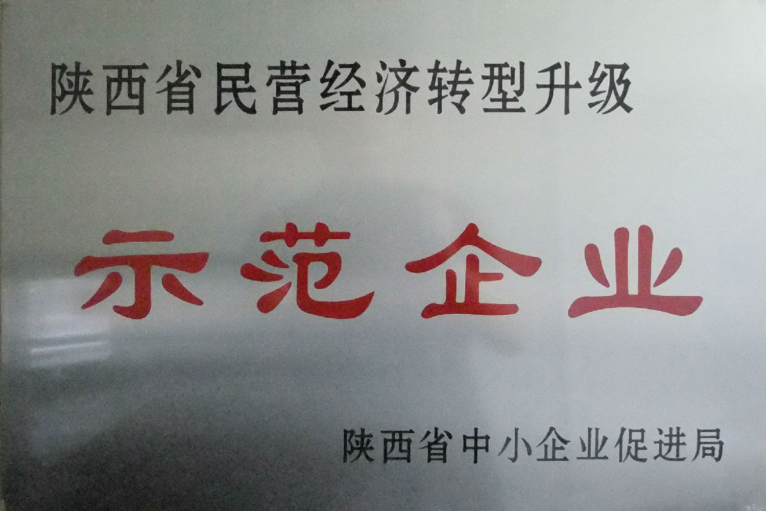 陜西省民營經(jīng)濟轉(zhuǎn)型升級示范企業(yè)